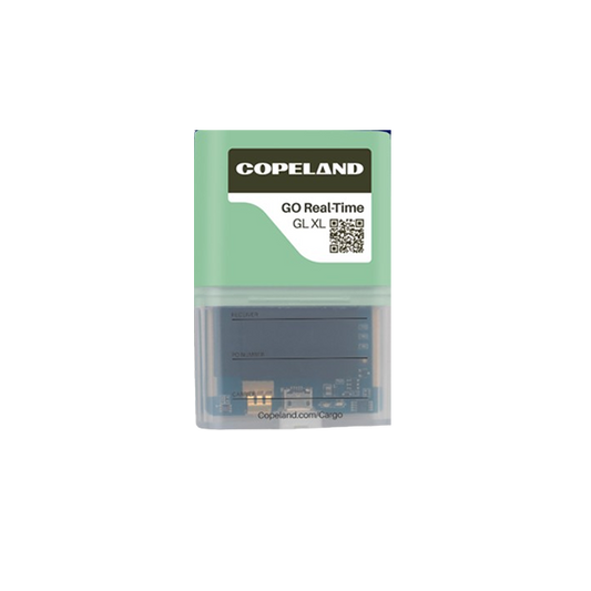 Enregistreur de température géolocalisé Go Real Time GL XL