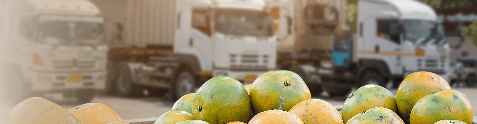 Alimentaire